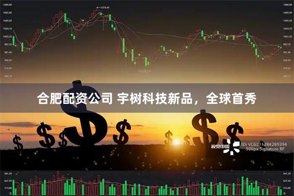 合肥配资公司 宇树科技新品，全球首秀